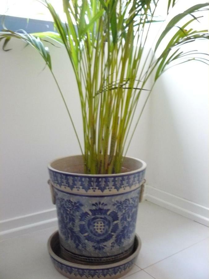 Blue House - Santa Marta II Apartment Lisbon Bagian luar foto